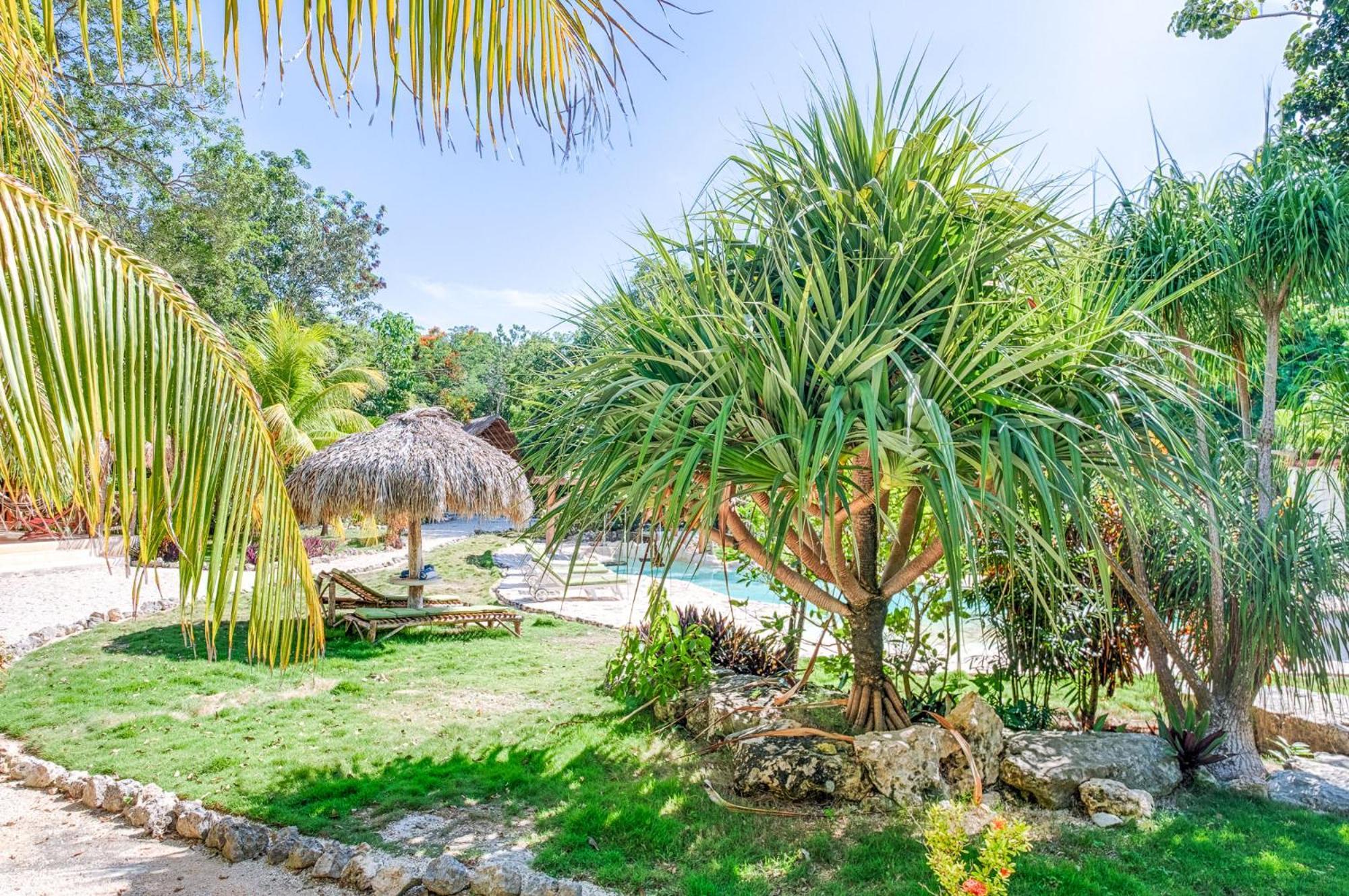 Villa Morena Boutique Hotel Ecoliving アクマル エクステリア 写真